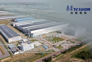 完美体育沈电综合样本